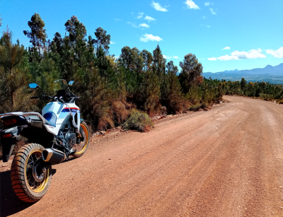 a bike on a dirt road with a forest of trees next to with a clear blue sky
